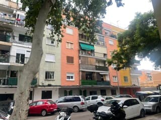 Imagen 6